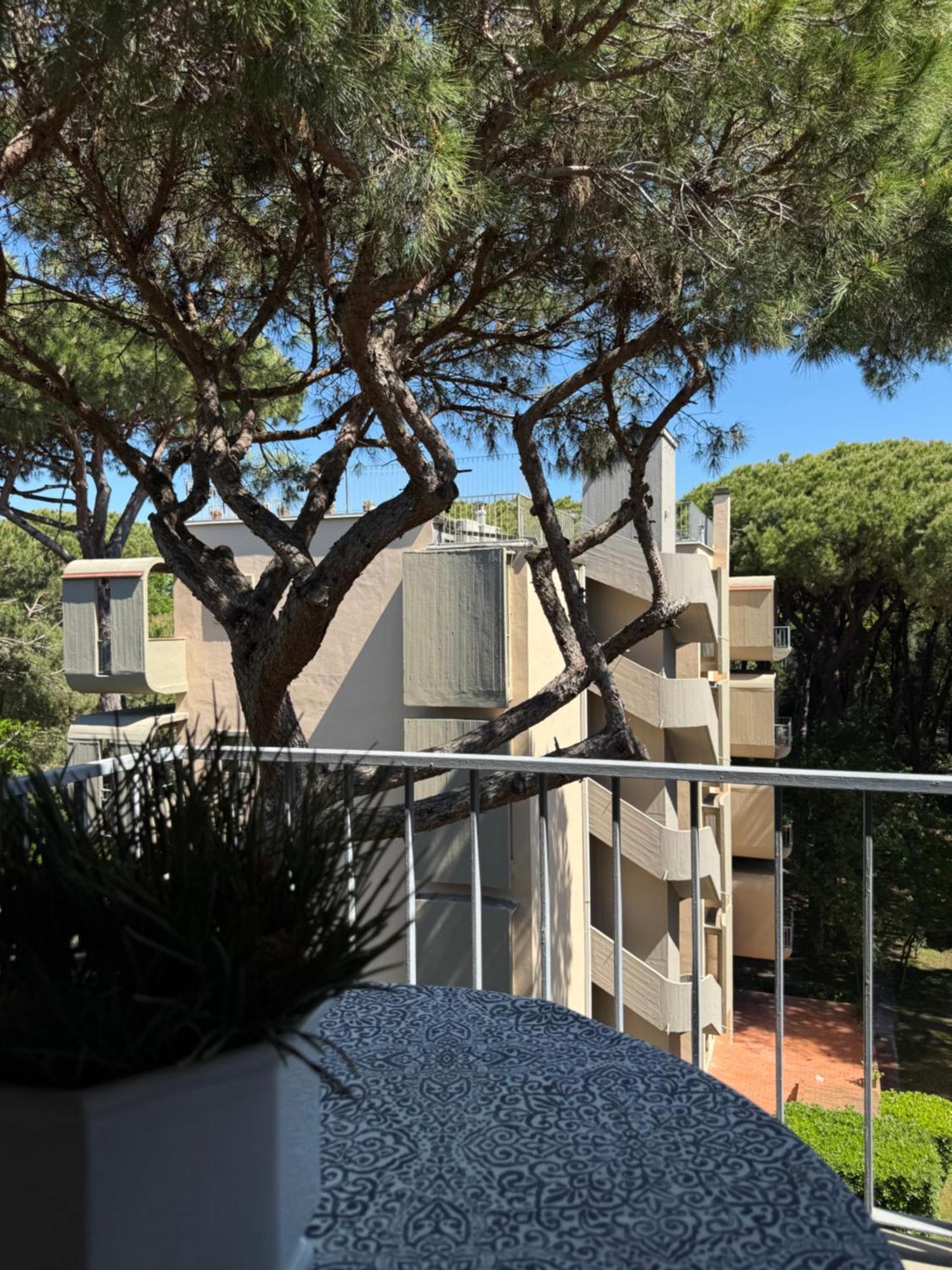La Terrazza Del Pino Appartement Torre del Lago Puccini Buitenkant foto